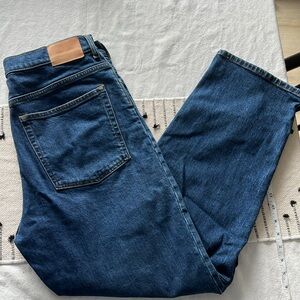 Everlane The Way High Vintage Indigo Low Stretch Denim Jeans Size 31 Long